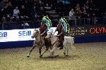 Quadrille - 00239